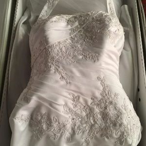 Wedding dress and veil